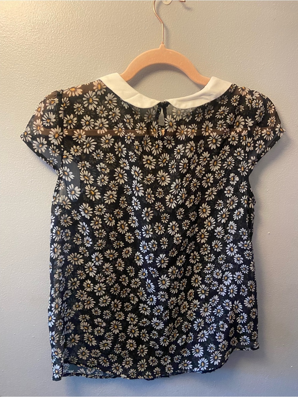 Womens S Black Sheer Daisy Print Top with White Peter Pan Collar